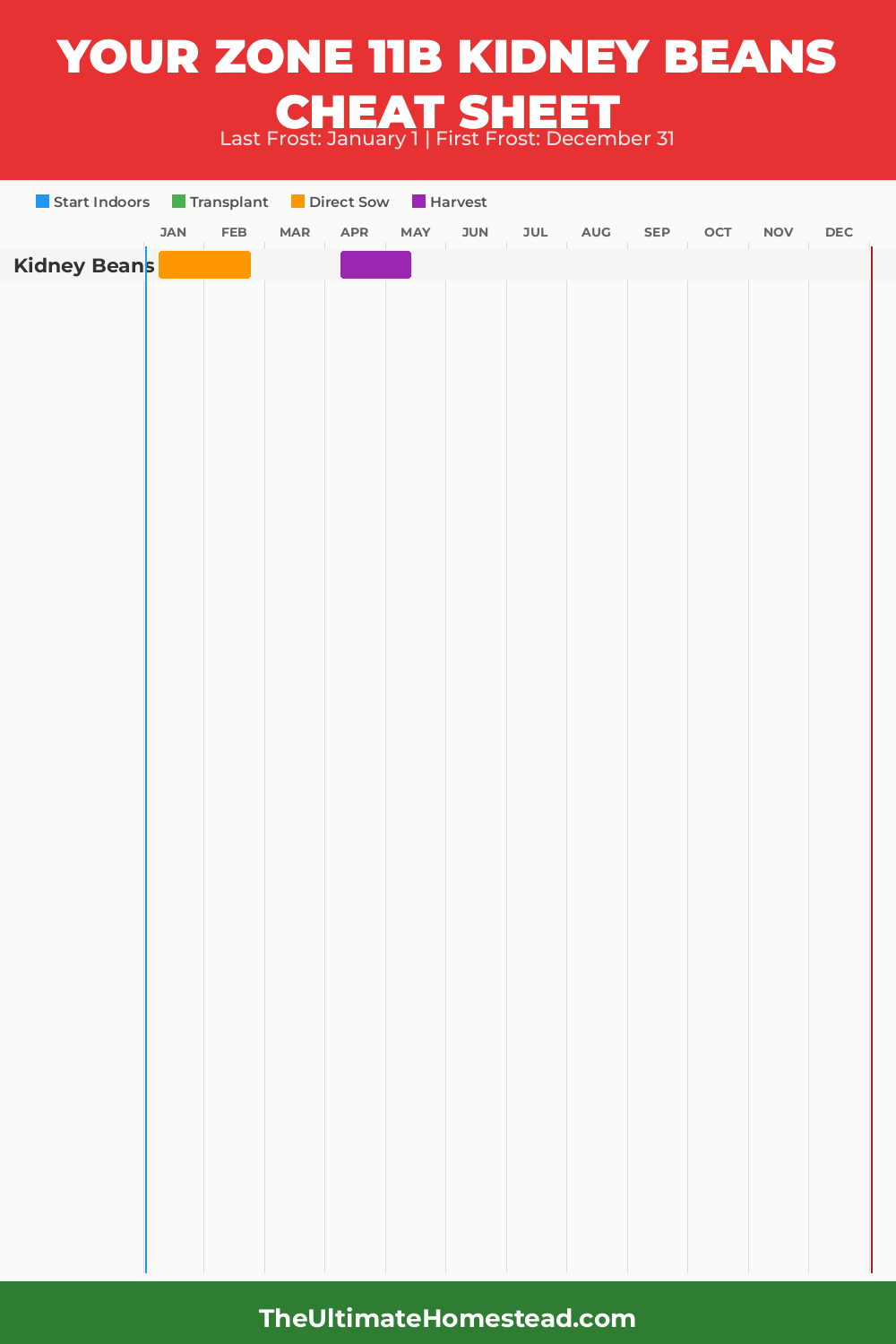 When to Plant Kidney Beans in Zone 11b