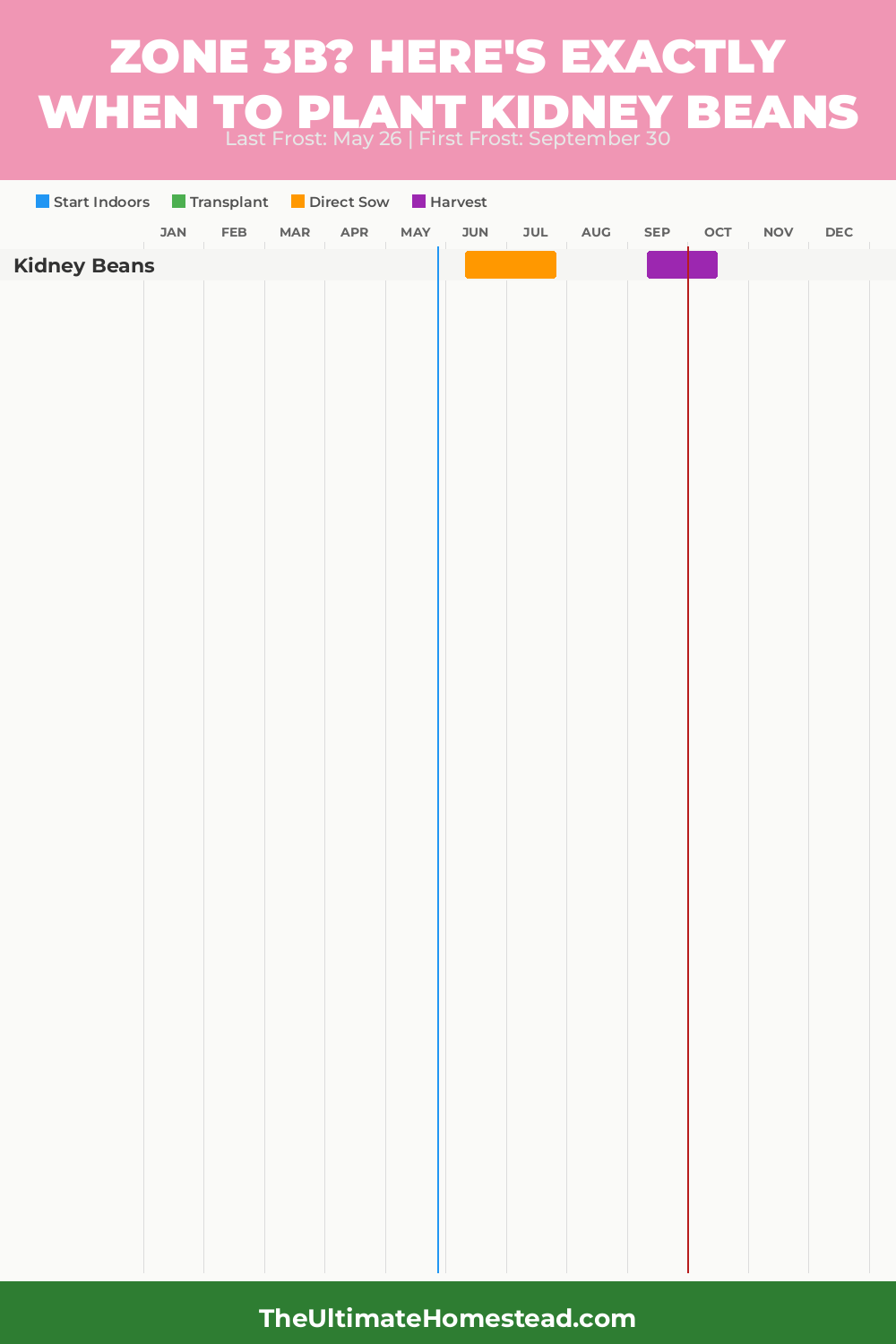When to Plant Kidney Beans in Zone 3b