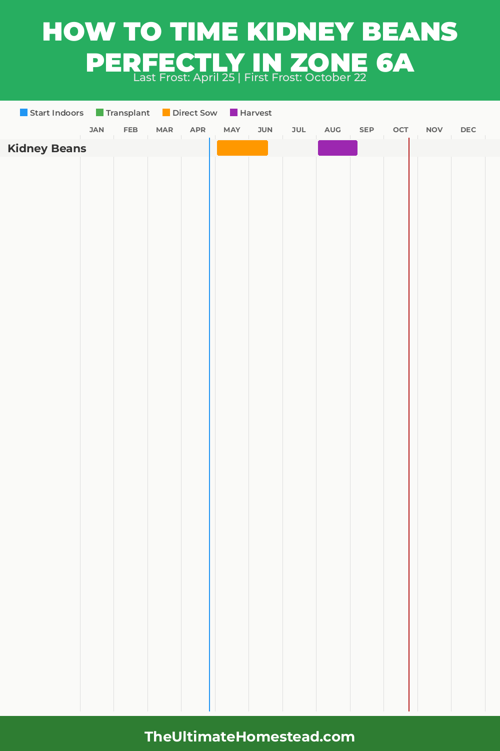 When to Plant Kidney Beans in Zone 6a