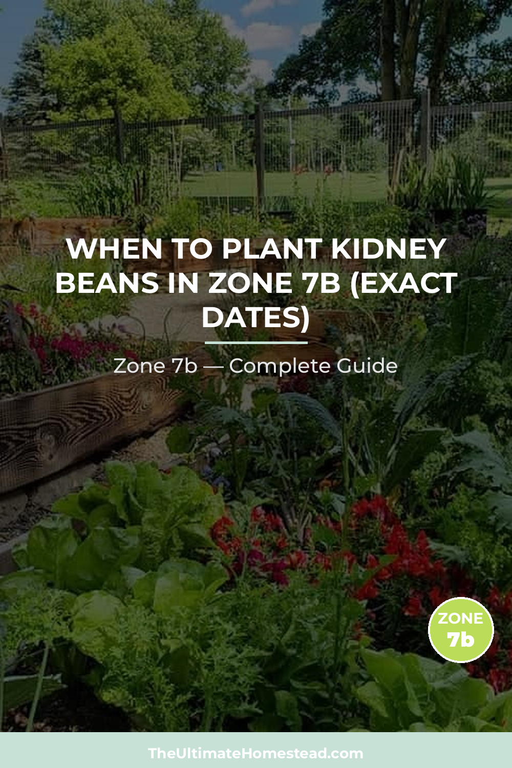 When to Plant Kidney Beans in Zone 7b