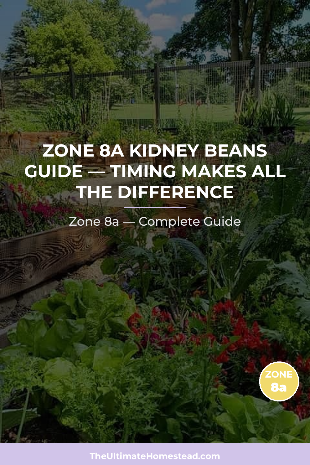 When to Plant Kidney Beans in Zone 8a