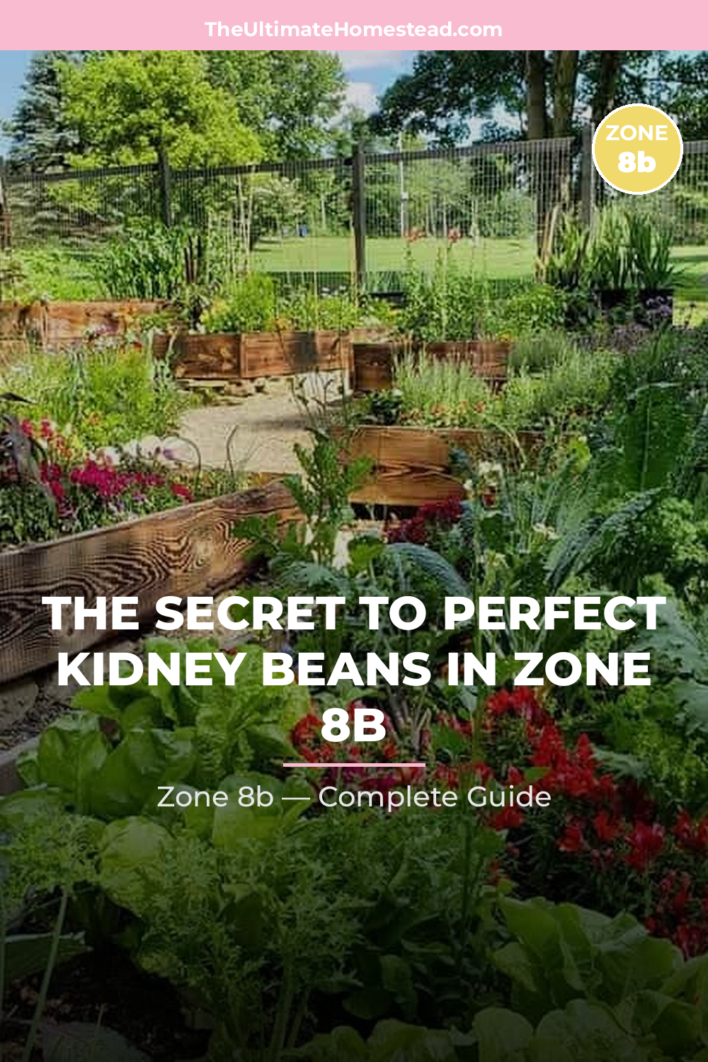 When to Plant Kidney Beans in Zone 8b