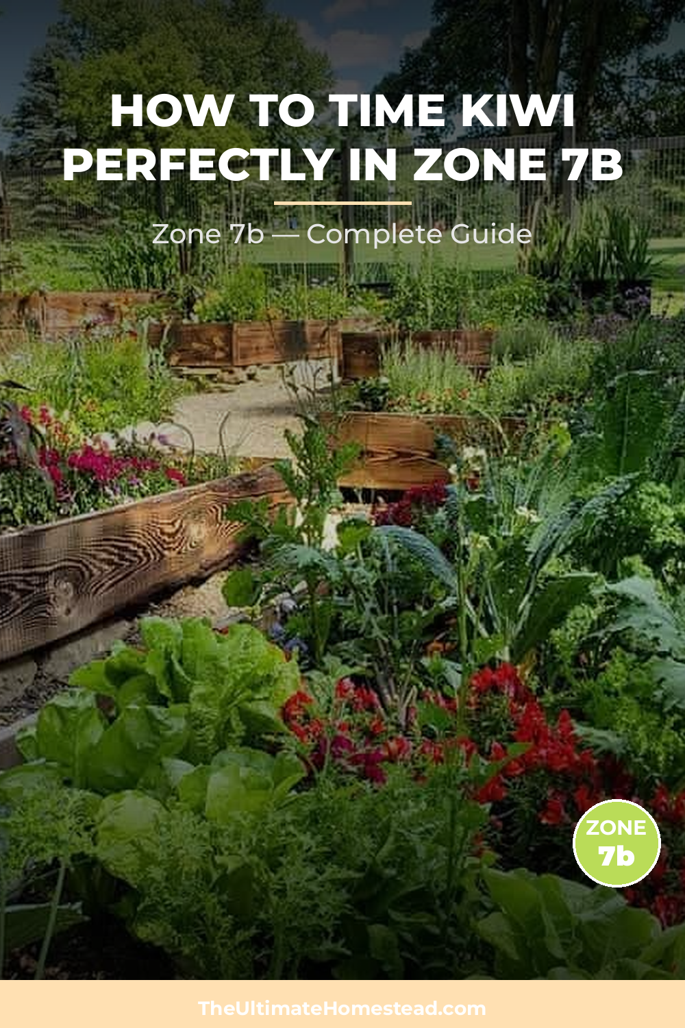 When to Plant Kiwi in Zone 7b