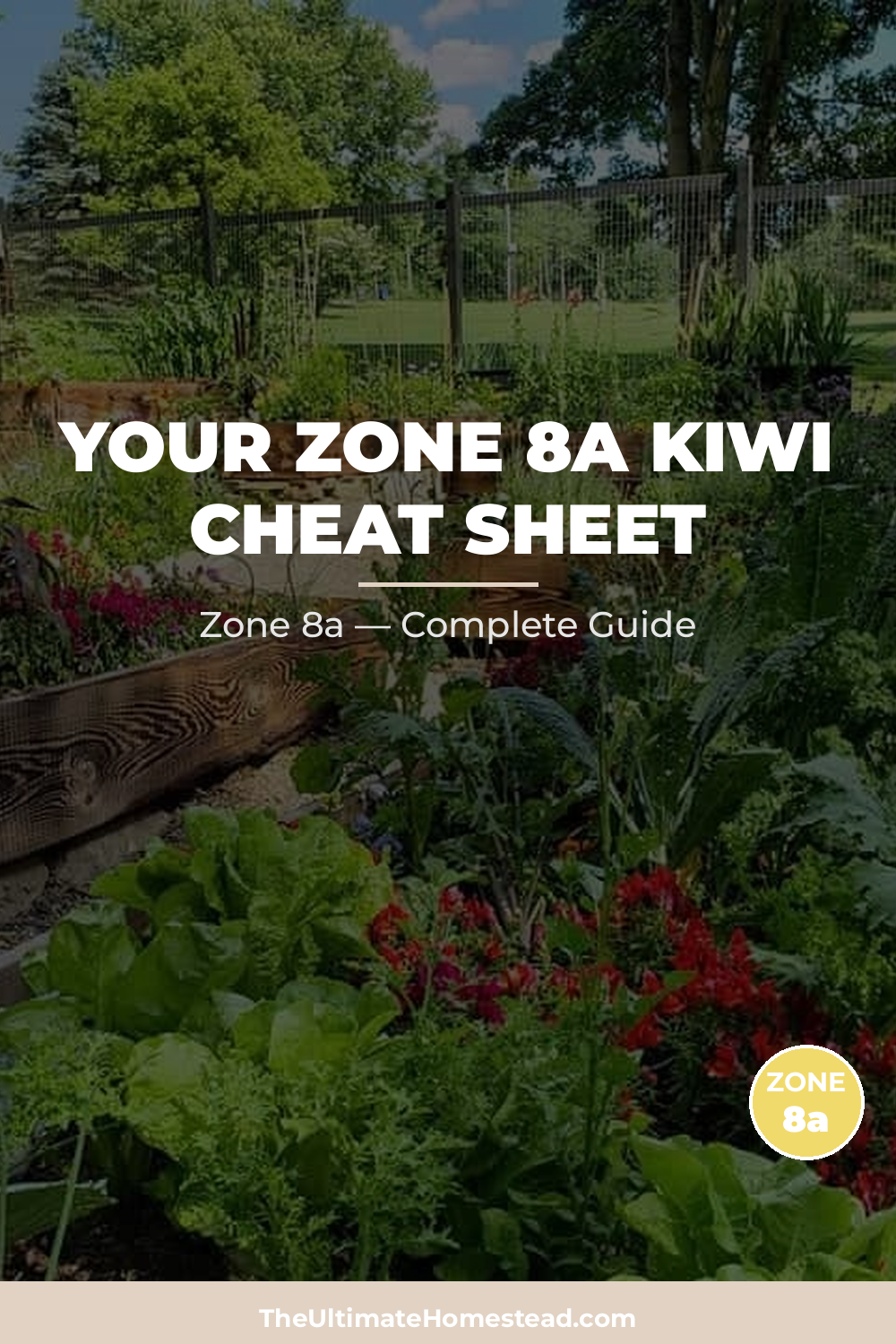When to Plant Kiwi in Zone 8a