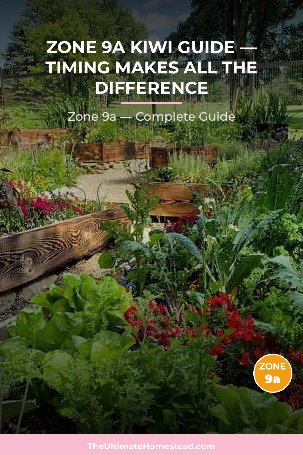 When to Plant Kiwi in Zone 9a