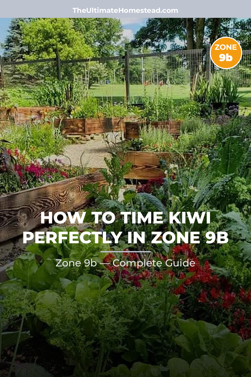 When to Plant Kiwi in Zone 9b