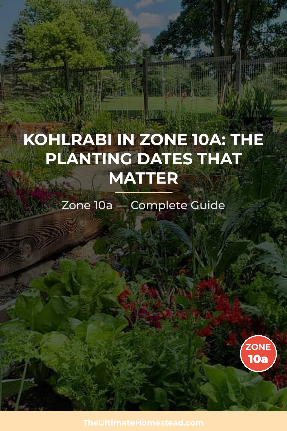 When to Plant Kohlrabi in Zone 10a