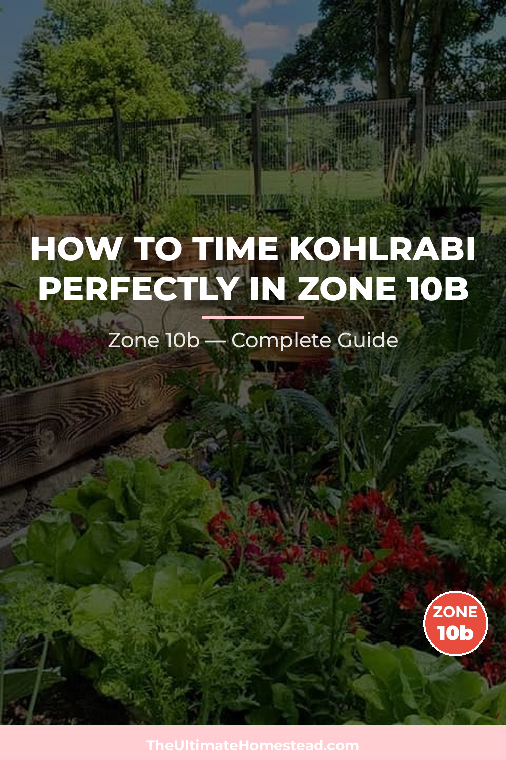 When to Plant Kohlrabi in Zone 10b