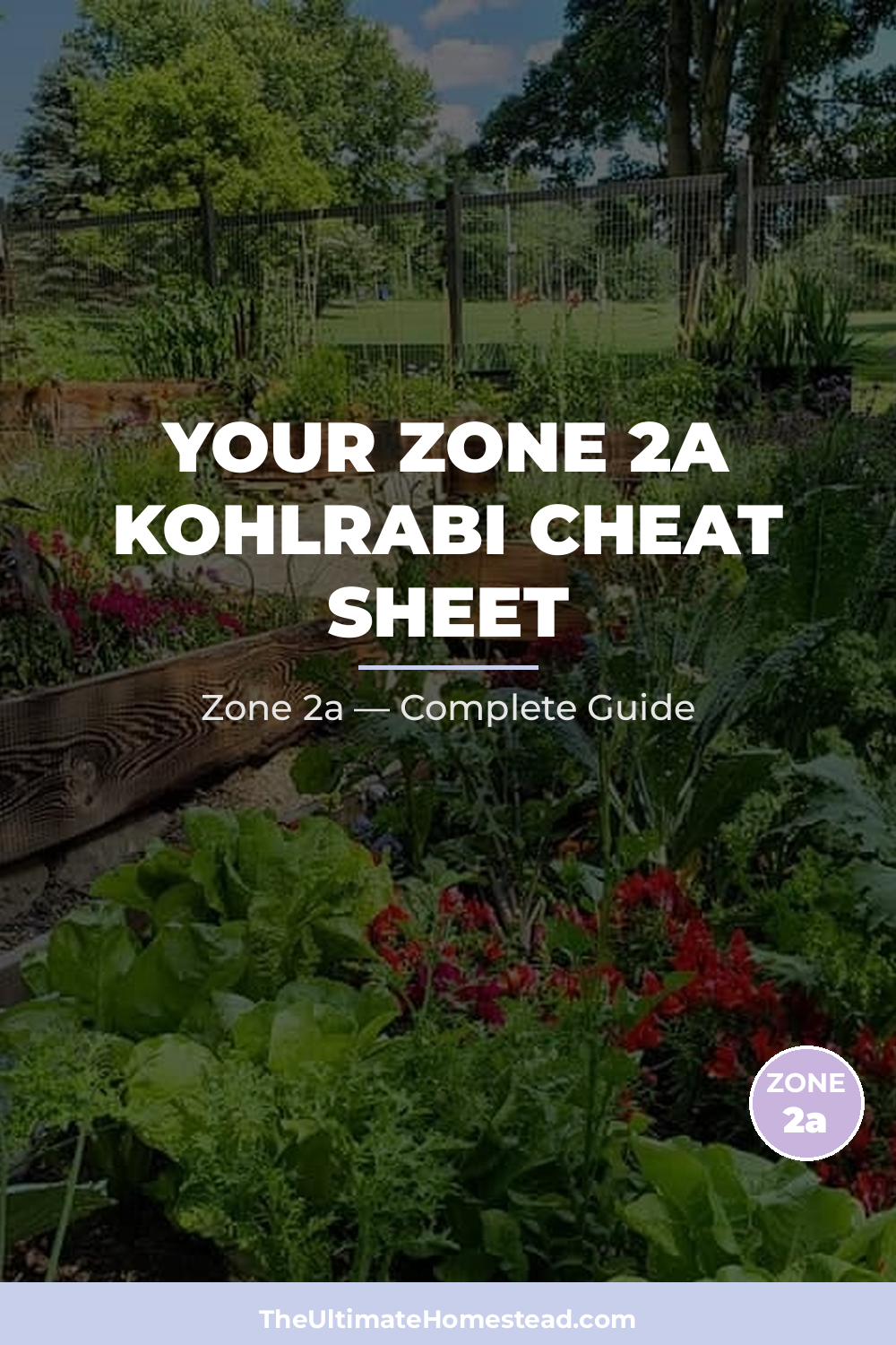 When to Plant Kohlrabi in Zone 2a