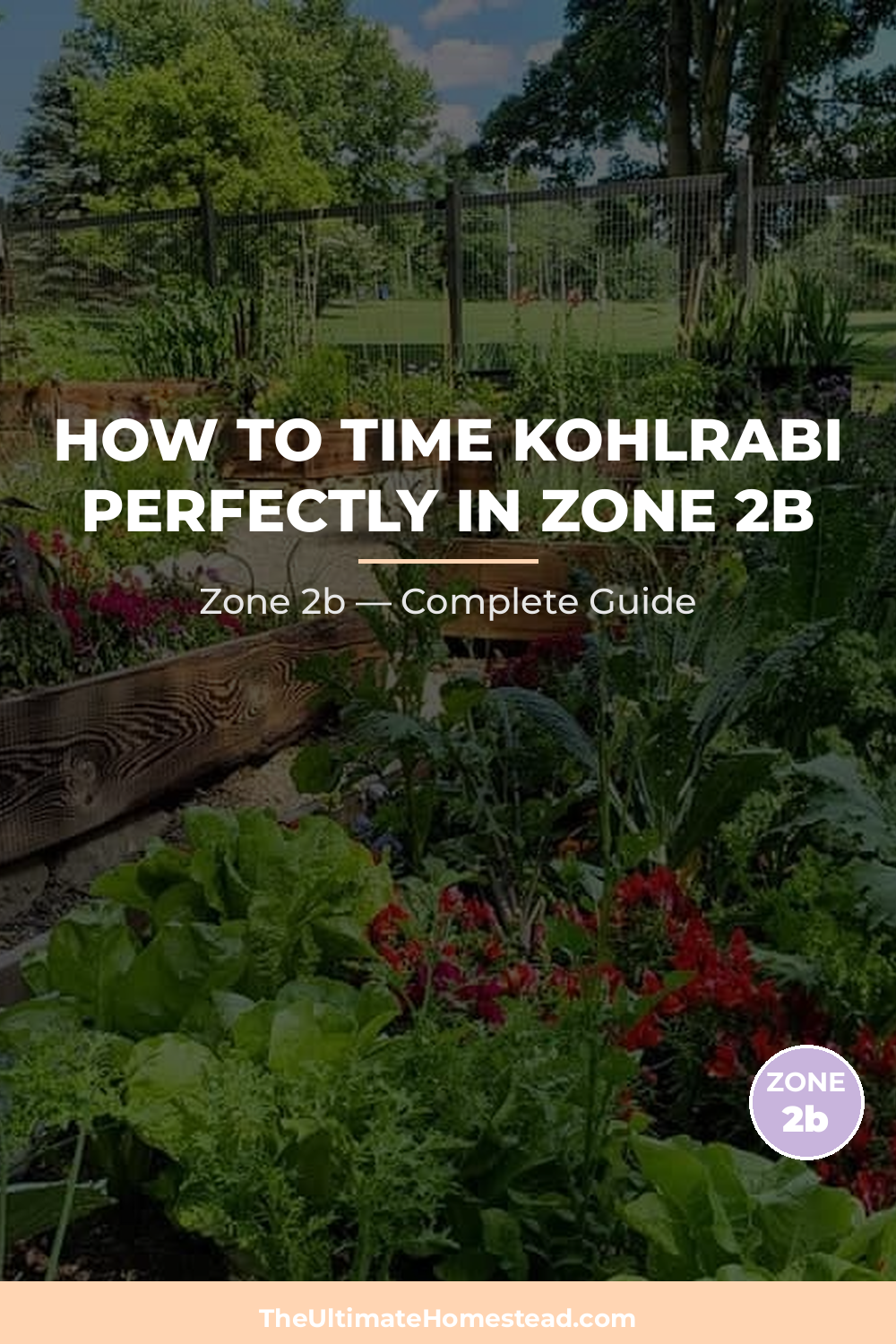 When to Plant Kohlrabi in Zone 2b