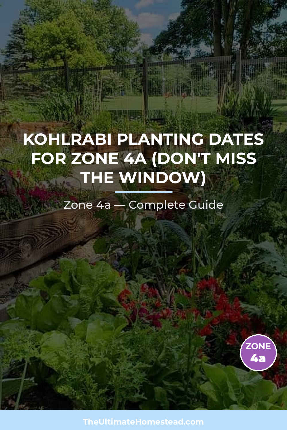 When to Plant Kohlrabi in Zone 4a