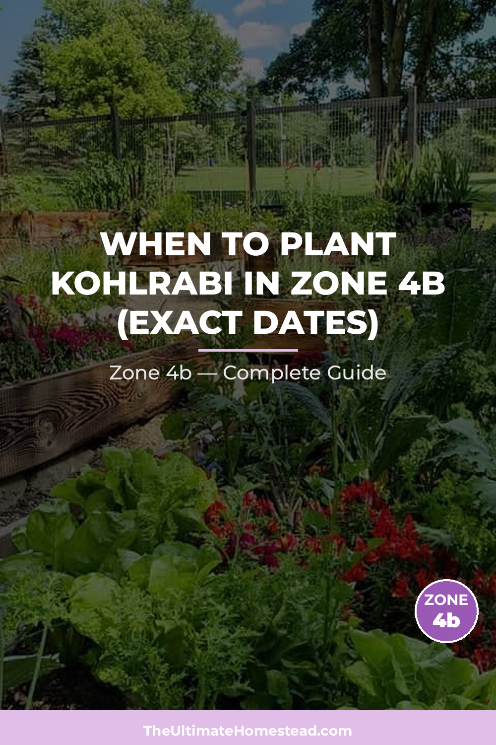 When to Plant Kohlrabi in Zone 4b