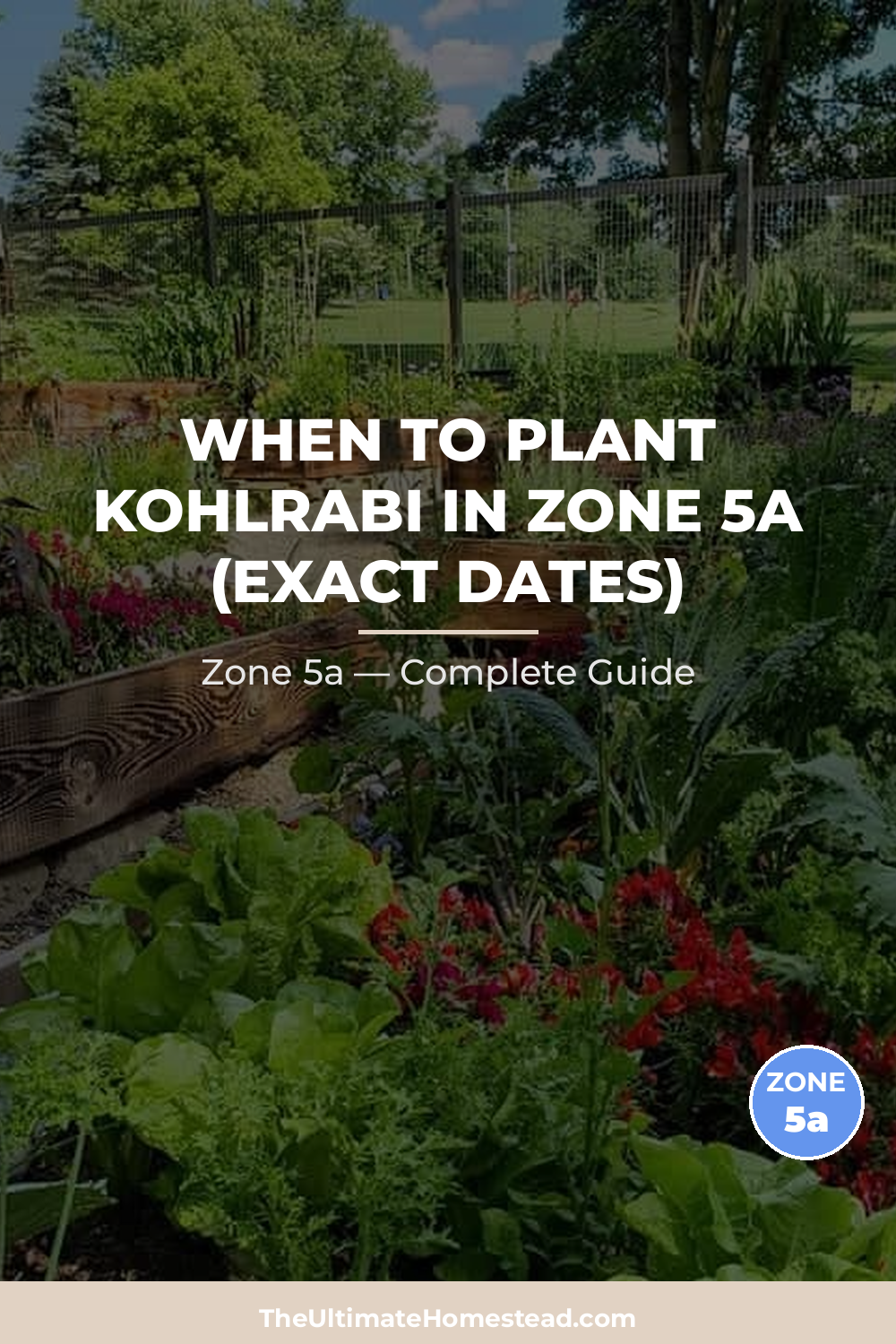 When to Plant Kohlrabi in Zone 5a