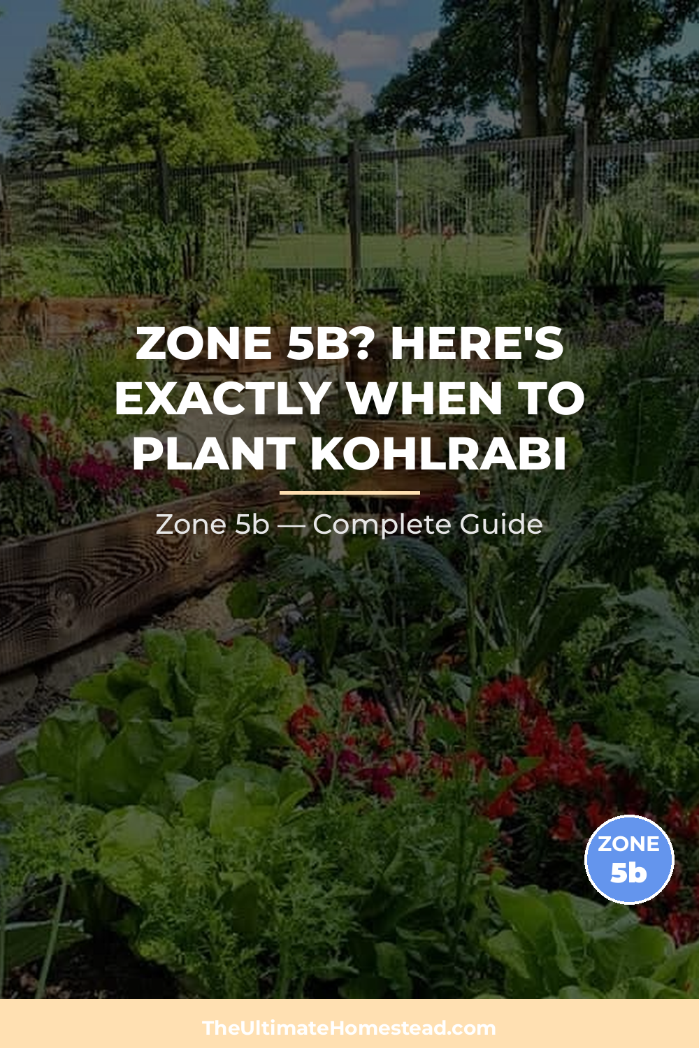 When to Plant Kohlrabi in Zone 5b