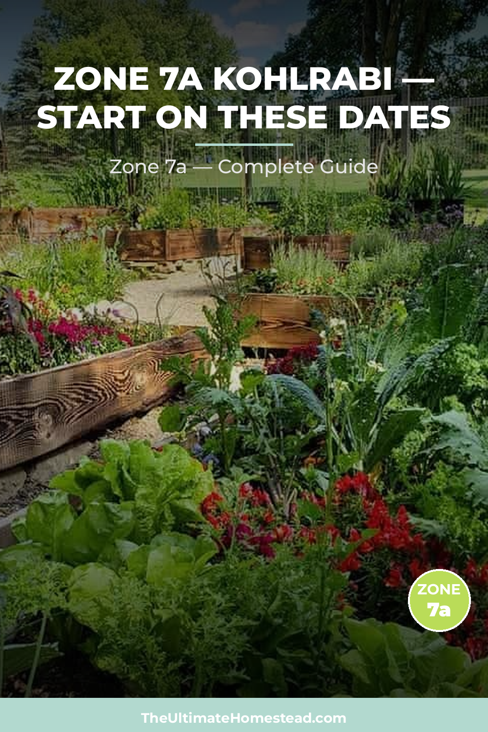 When to Plant Kohlrabi in Zone 7a