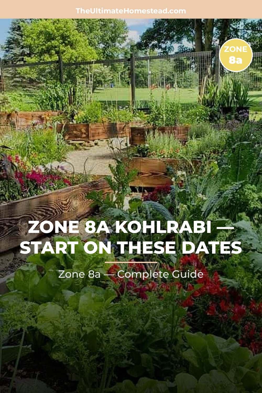 When to Plant Kohlrabi in Zone 8a