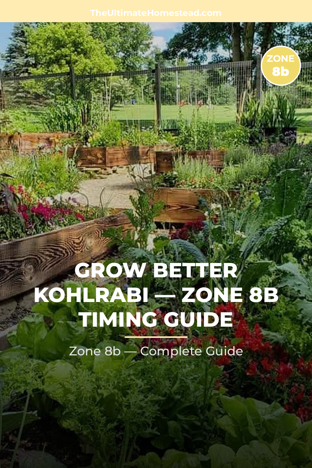 When to Plant Kohlrabi in Zone 8b