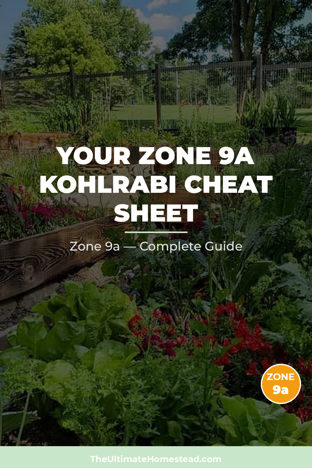 When to Plant Kohlrabi in Zone 9a