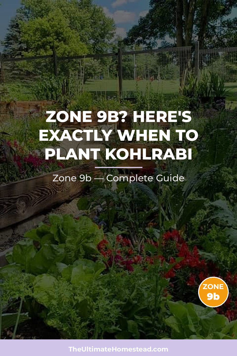 When to Plant Kohlrabi in Zone 9b