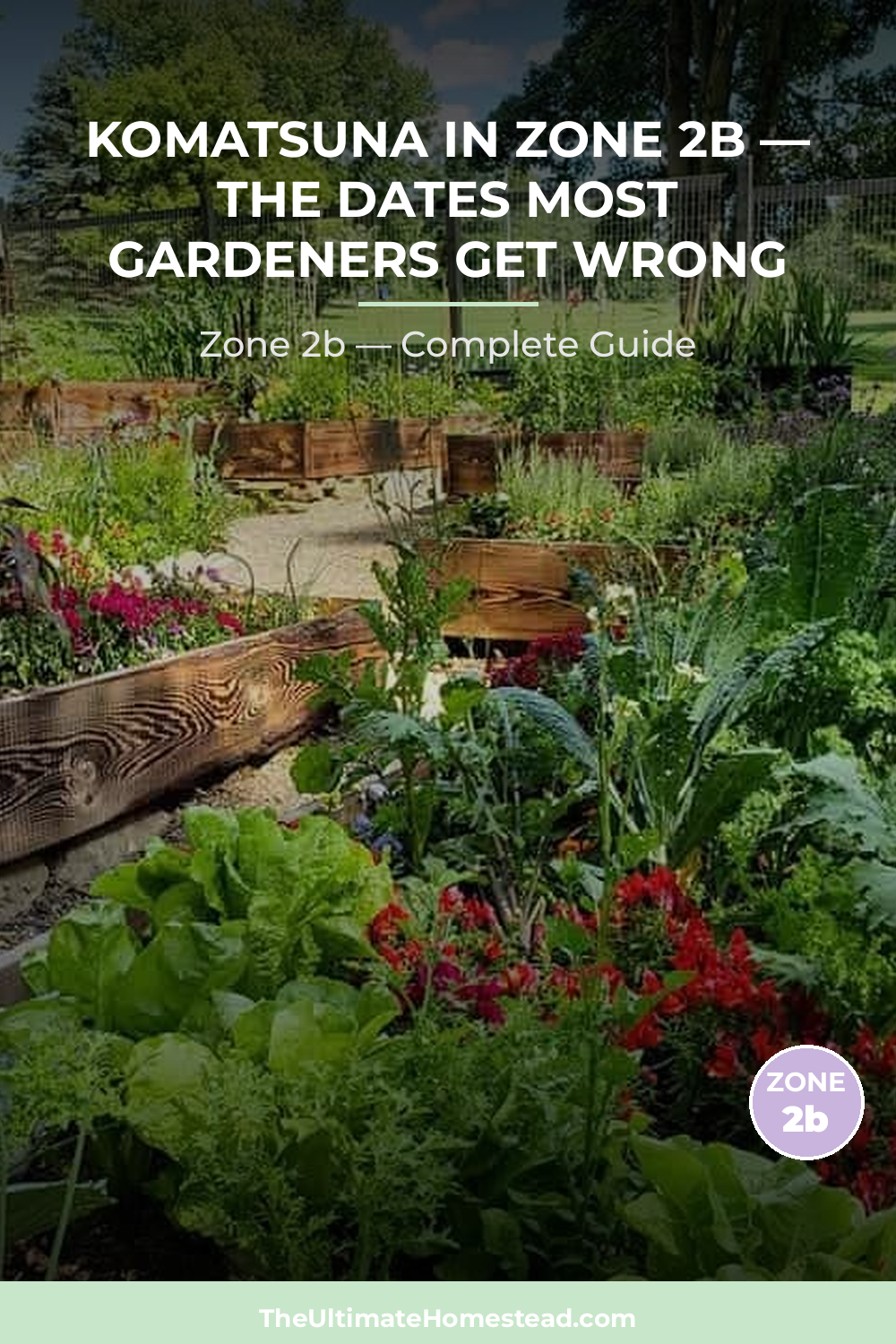 When to Plant Komatsuna in Zone 2b