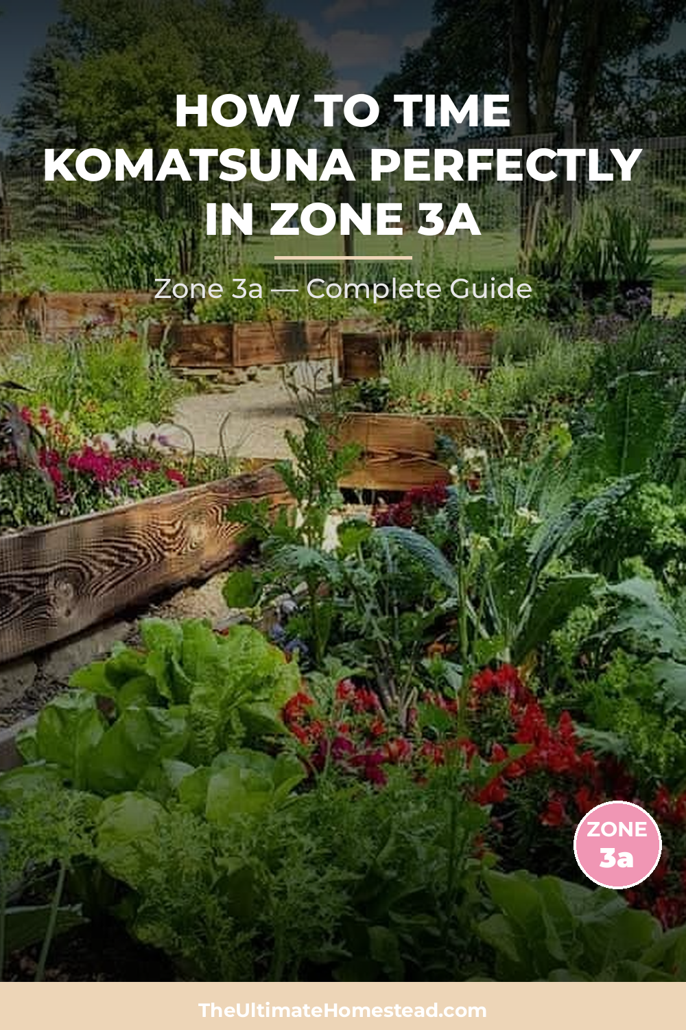 When to Plant Komatsuna in Zone 3a