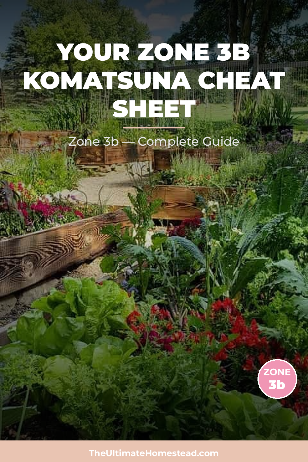 When to Plant Komatsuna in Zone 3b