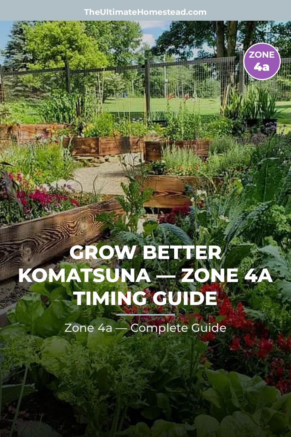 When to Plant Komatsuna in Zone 4a