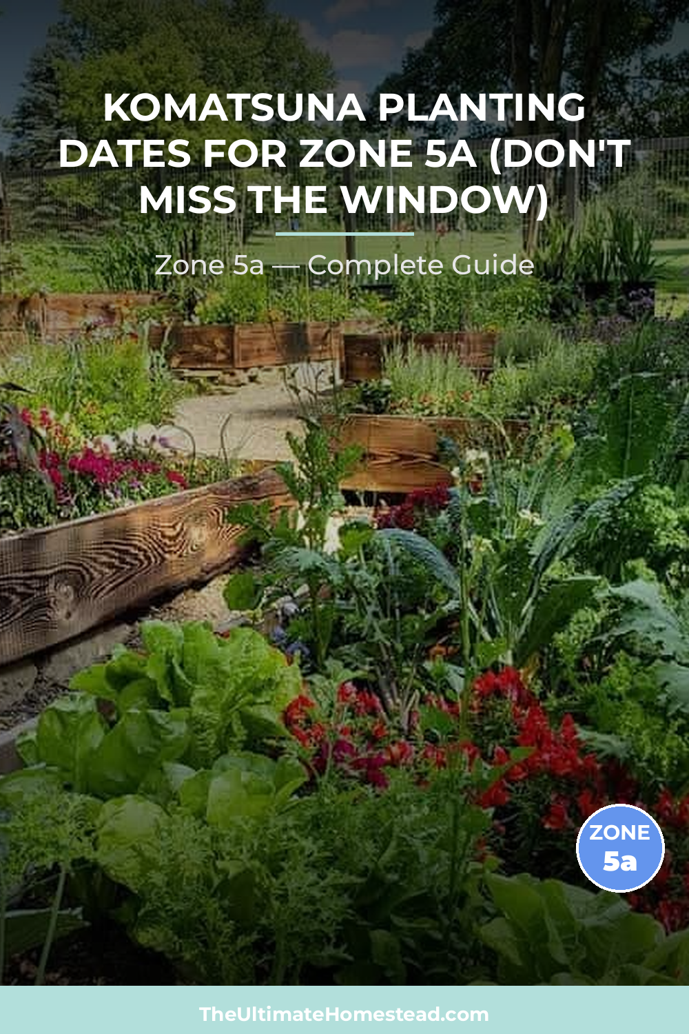 When to Plant Komatsuna in Zone 5a