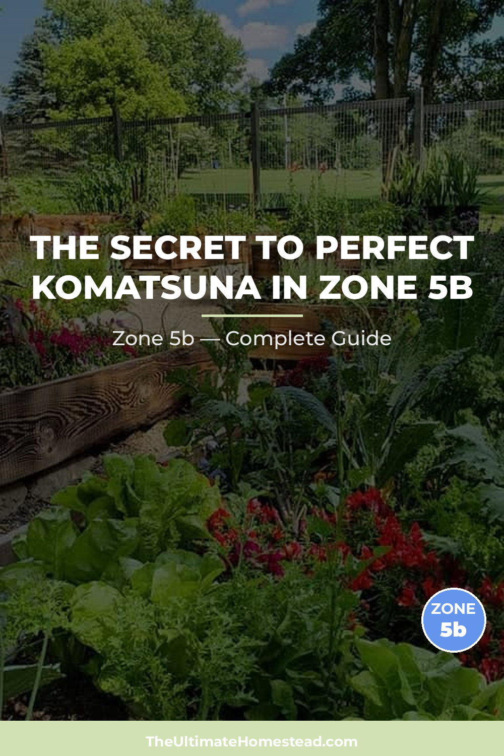 When to Plant Komatsuna in Zone 5b
