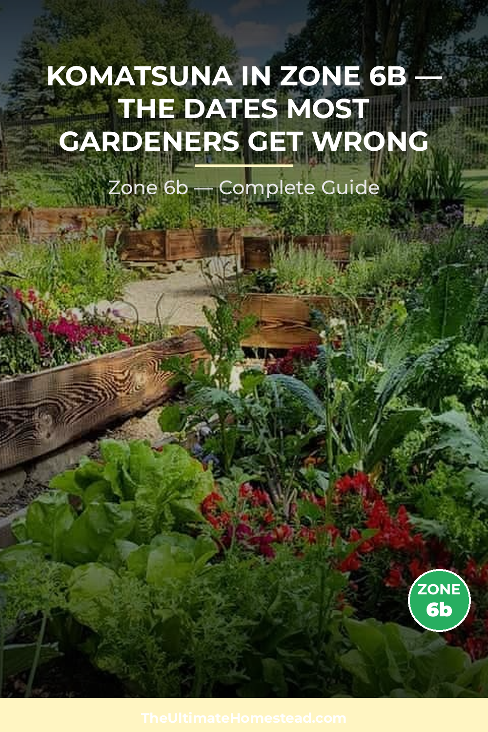 When to Plant Komatsuna in Zone 6b