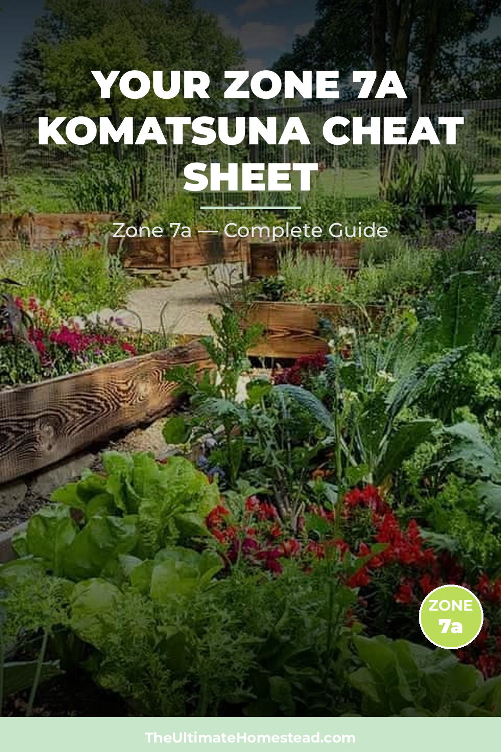 When to Plant Komatsuna in Zone 7a
