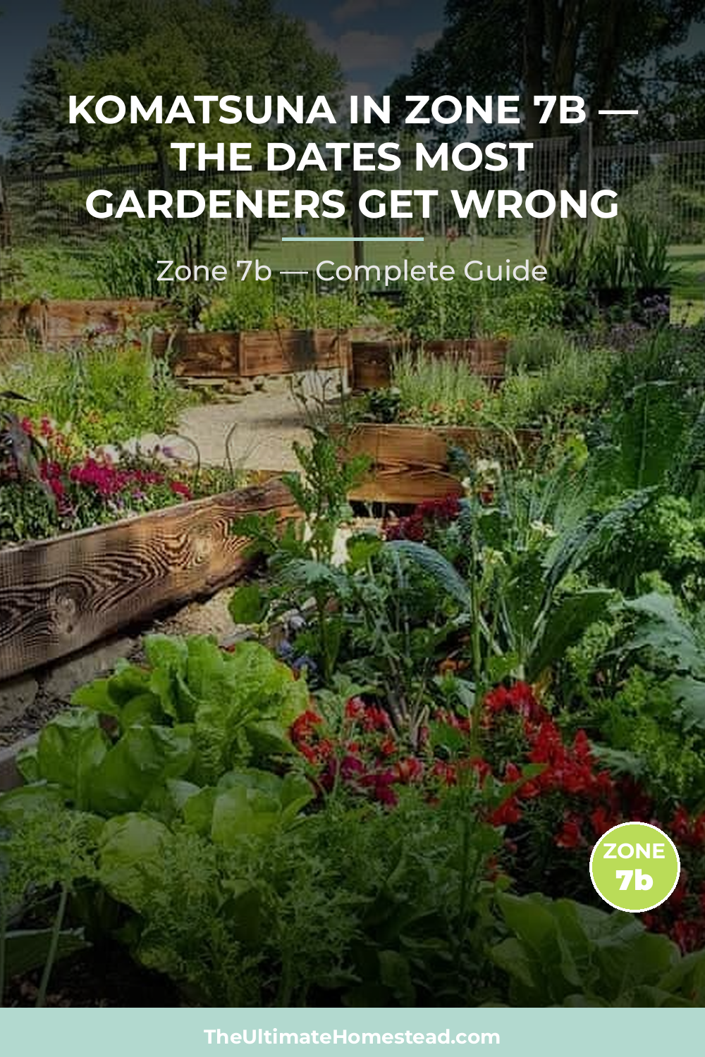 When to Plant Komatsuna in Zone 7b