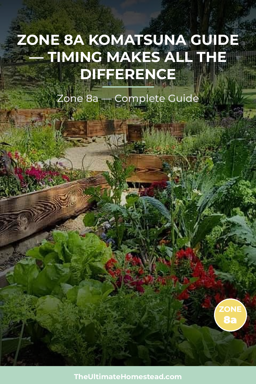 When to Plant Komatsuna in Zone 8a