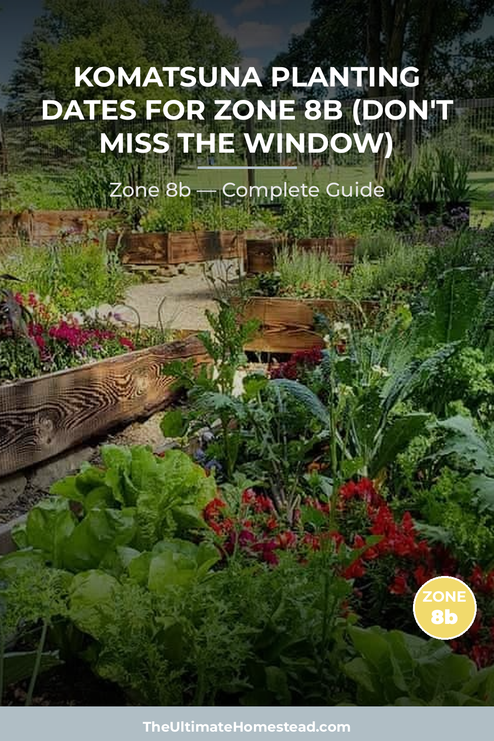 When to Plant Komatsuna in Zone 8b