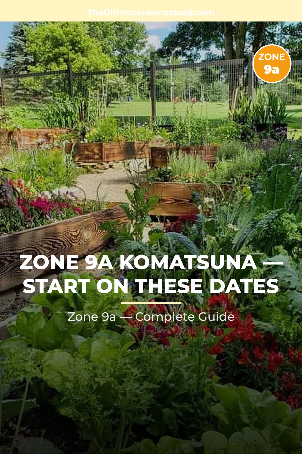 When to Plant Komatsuna in Zone 9a