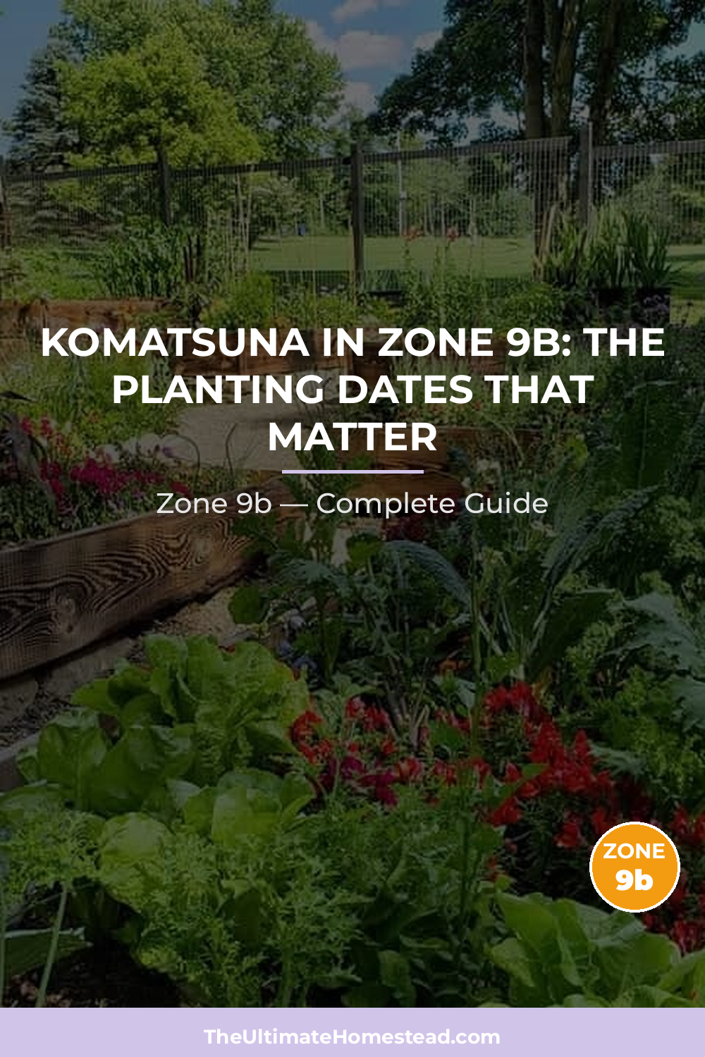 When to Plant Komatsuna in Zone 9b