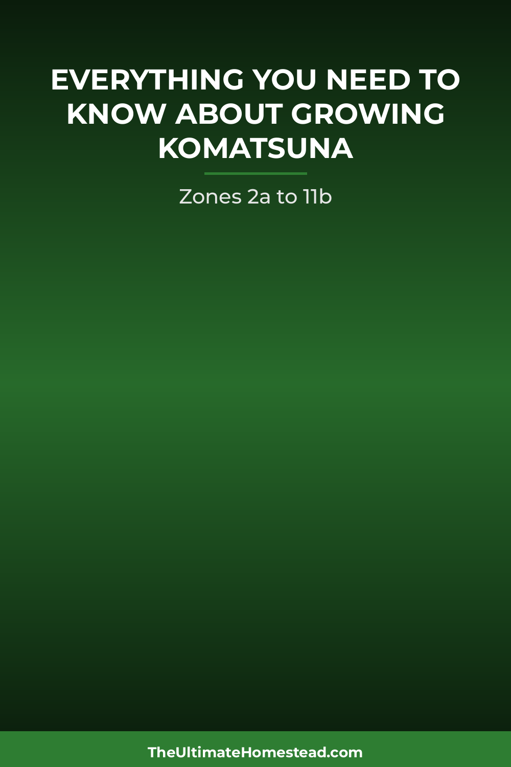 Komatsuna Planting Guide