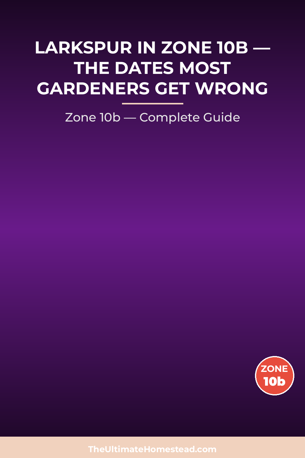 When to Plant Larkspur in Zone 10b
