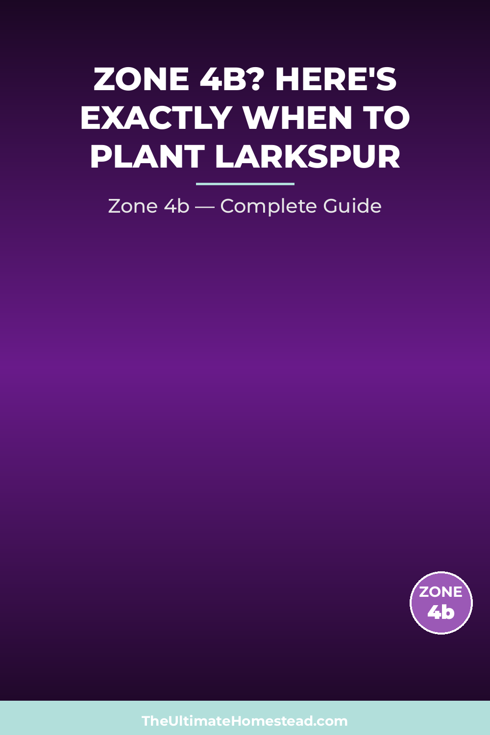 When to Plant Larkspur in Zone 4b
