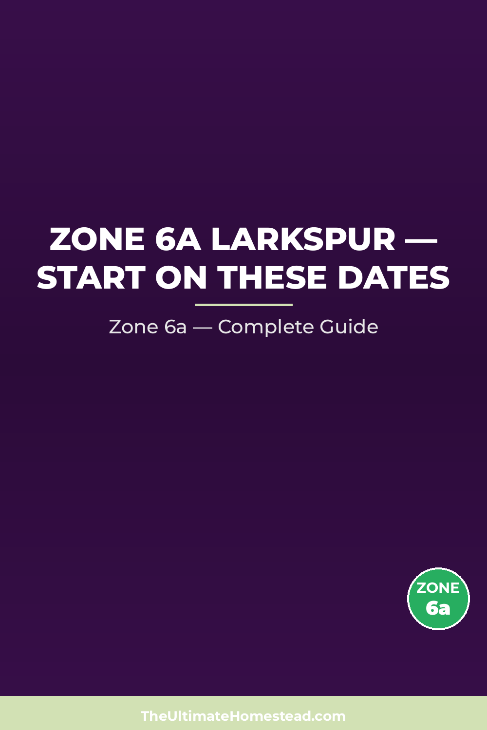 When to Plant Larkspur in Zone 6a