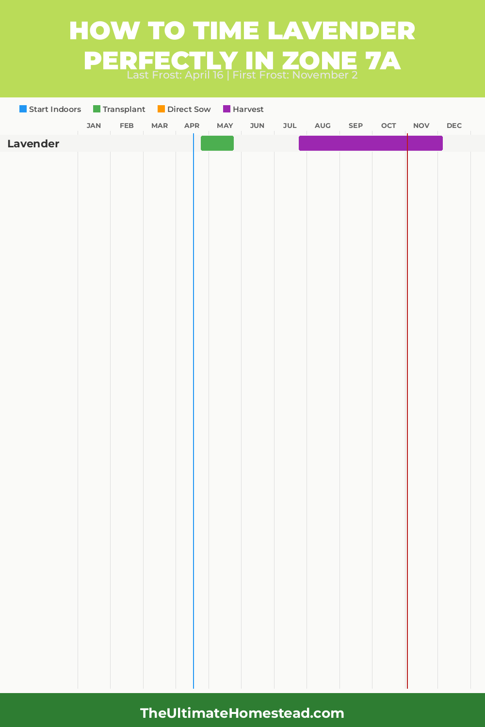 When to Plant Lavender in Zone 7a