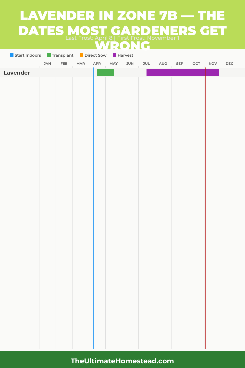 When to Plant Lavender in Zone 7b