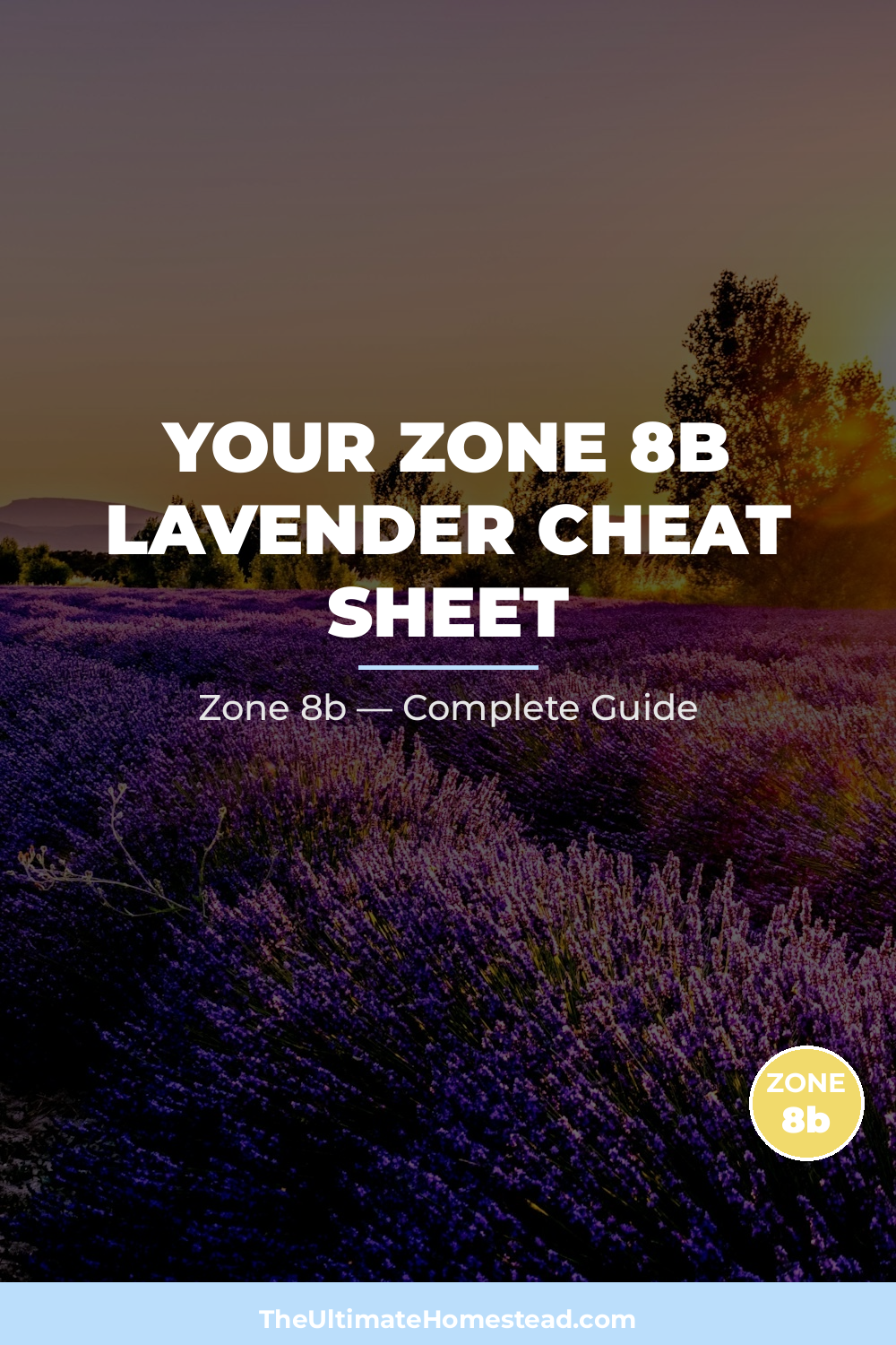When to Plant Lavender in Zone 8b