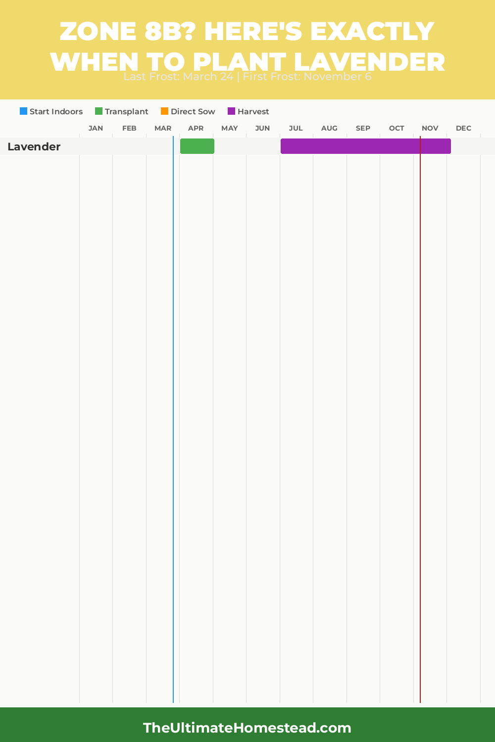 When to Plant Lavender in Zone 8b