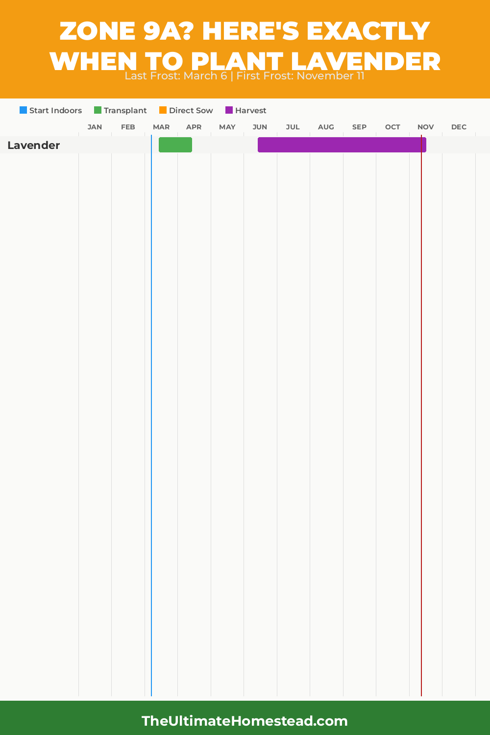 When to Plant Lavender in Zone 9a