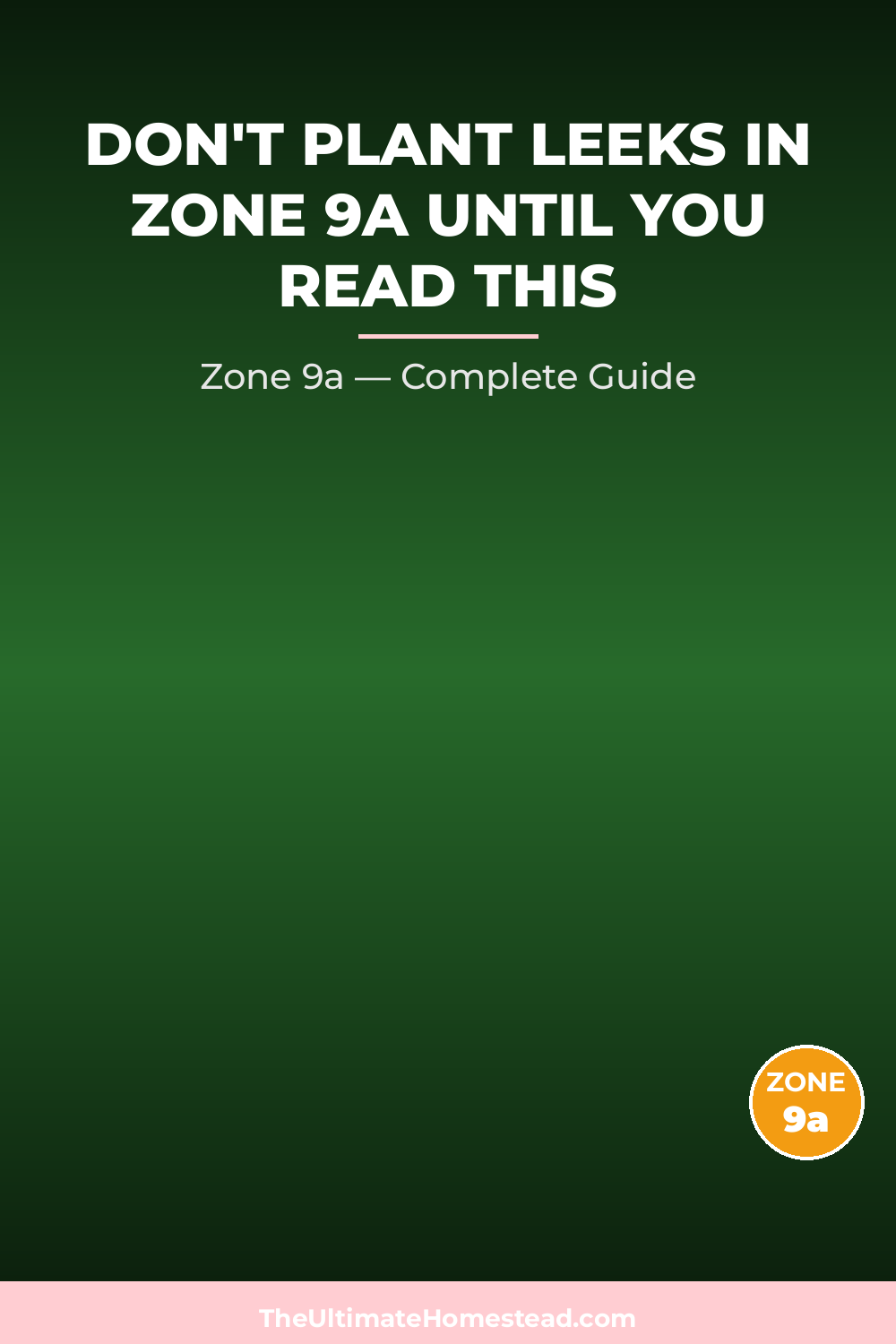 When to Plant Leeks in Zone 9a