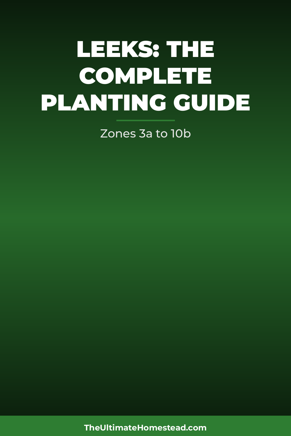 Leeks Planting Guide