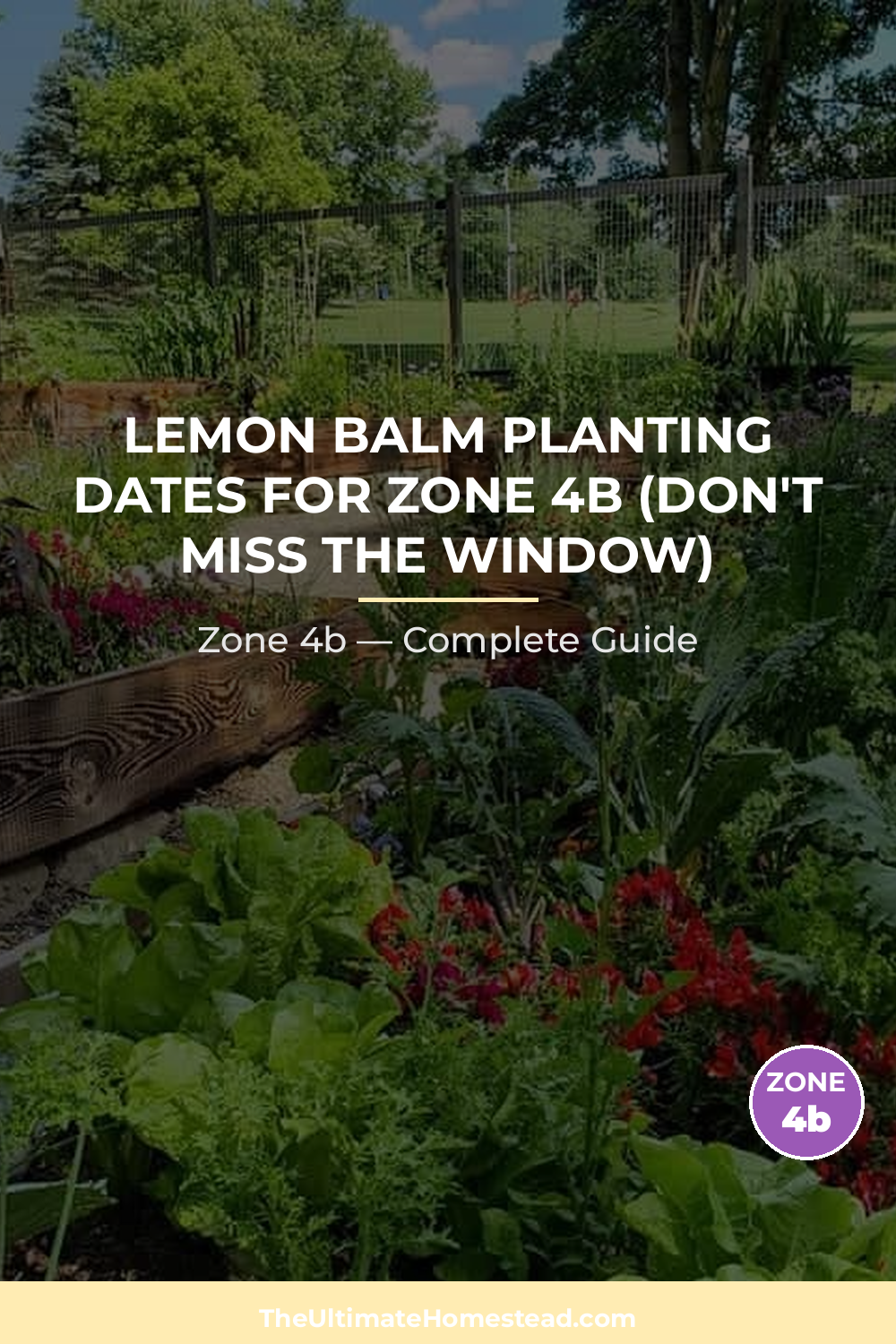 When to Plant Lemon Balm in Zone 4b