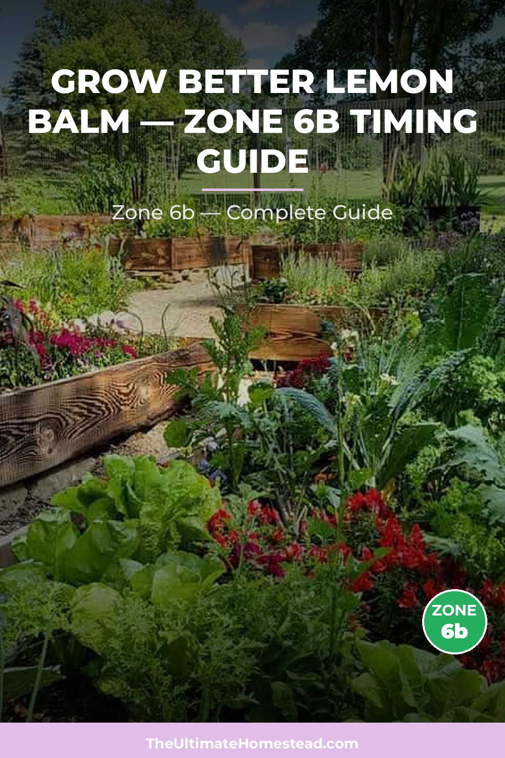 When to Plant Lemon Balm in Zone 6b