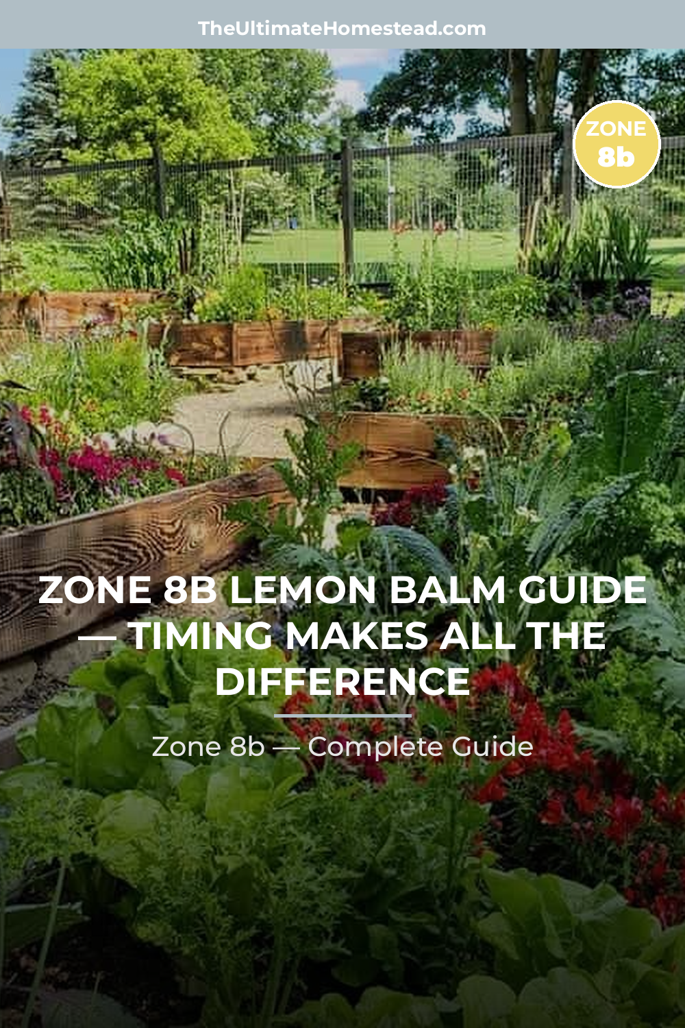 When to Plant Lemon Balm in Zone 8b